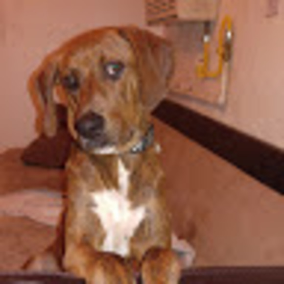 Meet your Posher, Jacqui - Picture 1 of 1